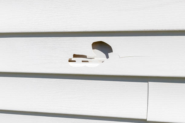 How To Choose The Right Materials for Your Siding Installation in 'Rosepine, LA